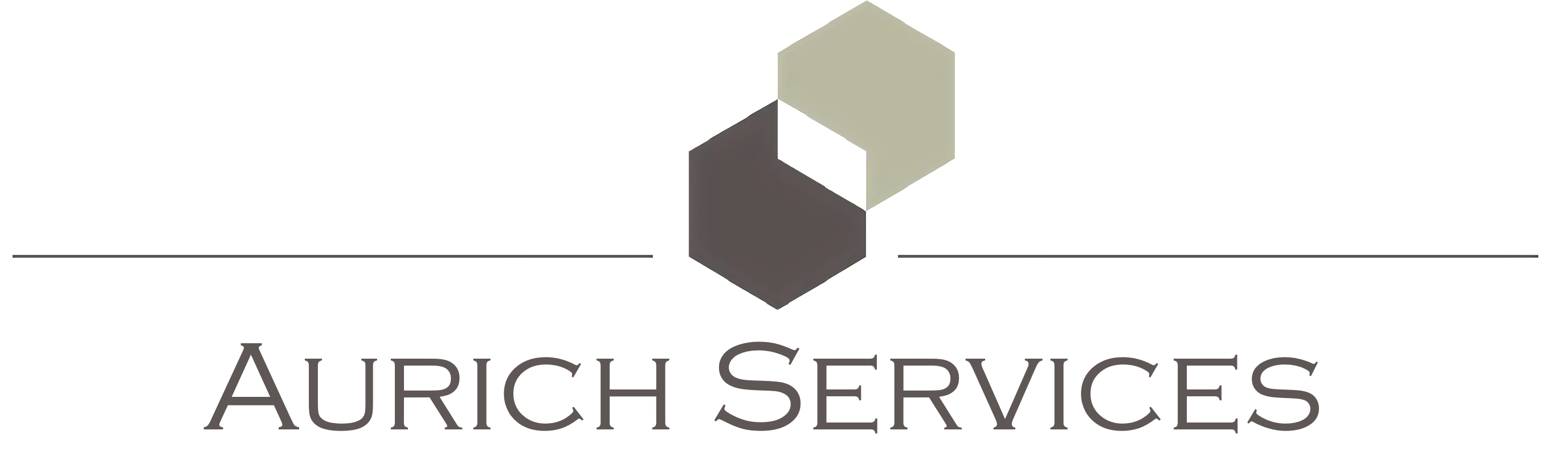 Aurich Services GmbH logo